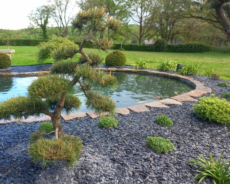 Réalisation étanchéité bassin décoratif